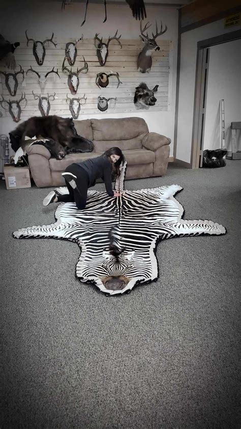 Zebra Rug | AfricaHunting.com