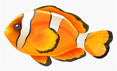 Fish Png, Transparent Png - kindpng