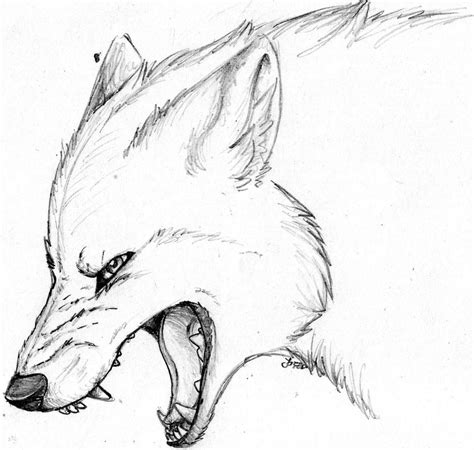 Pics For > Angry Wolf Face Drawing