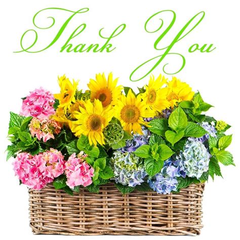 Colorful flowers. thank you. card ... | Stock image | Colourbox