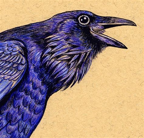 Items similar to Raven Bird ATC ACEO Art on Etsy