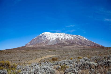 Snow on Top of Mount Kilimanjaro Stock Photo - Image of scenic ...