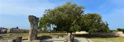 Jaffna Fort - Experiences & Attractions | Jetwing Jaffna