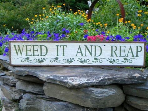 25 super funny Garden signs - A girl and a glue gun