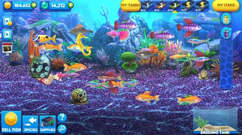 Big fish games app windows 7 - qlerocaster