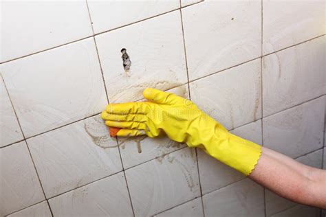 Cleaning of Dirty Old Tiles in a Bathroom Stock Image - Image of ...