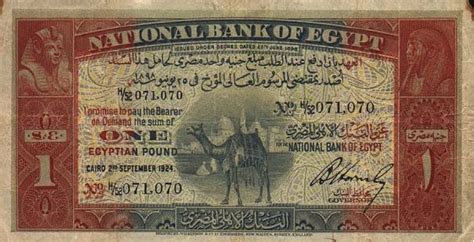 1 Egyptian Pound banknote (Camel) - Exchange yours for cash today