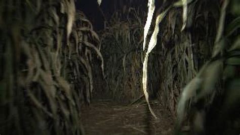 Heaps Haunted Corn Maze: A Spine-Tingling Adventure