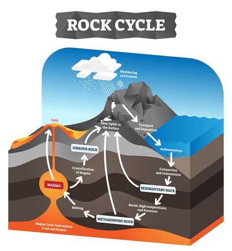 Rock Cycle Diagram | MooMooMath and Science