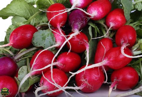 All About Radishes: Varieties, Nutrition, and Culinary Uses - Farm To Palms