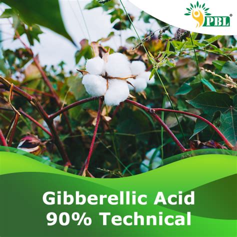 Gibberellic Acid 90% Technical | B2B Manufacturer & Exporter - Peptech