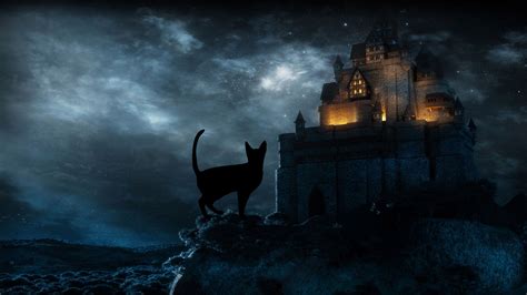 Halloween Black Cat HD Desktop Wallpapers 34269 - Baltana