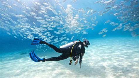 Scuba Diving: How to Ascend Safely and Surface Correctly