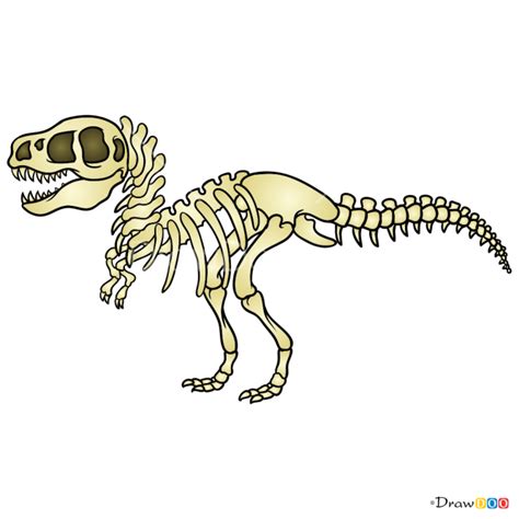 How to Draw Dinosaur Skeleton, Skeletons