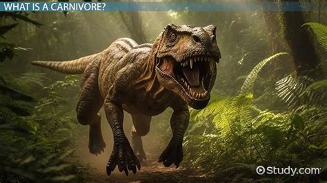 Carnivorous Dinosaurs | List, Species Names & Types - Lesson | Study.com