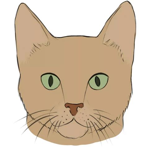 Kids Easy Simple Cat Face Drawing - Mariiana-blog