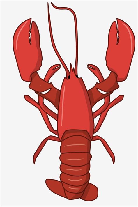 Red Lobster Clipart Transparent PNG Hd, Red Lobster Cartoon Illustration, Lobster Clipart, Red ...