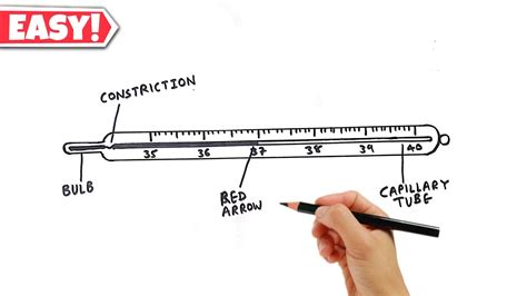 Lab Thermometer Drawing