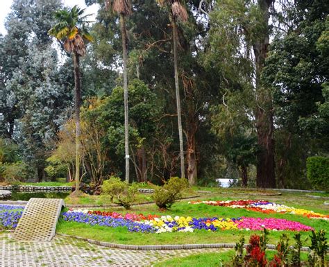 Batumi Botanical Garden - Public Space in Batumi, Georgia | The Vendry