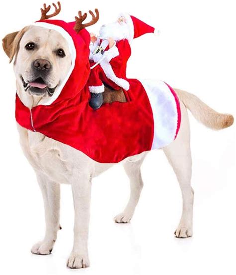 Dog Christmas Costume | Holiday Pet Costumes on Amazon | POPSUGAR UK Pets Photo 2