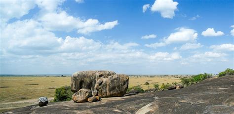 On Safari in Tanzania with Four Seasons