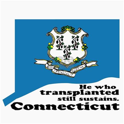 Connecticut State Motto Magnet by Literary License - CafePress