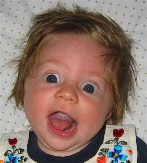 Funny LOL Face Pics - LoL!!! | Pics - HD Wallpaper - image - Photo and Picture