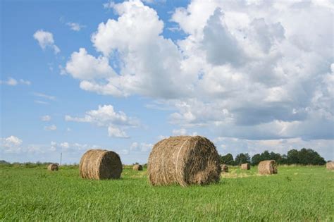 Premium Photo | Straw bales