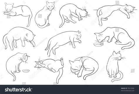 124,200 Cat Line Drawing Images, Stock Photos & Vectors | Shutterstock