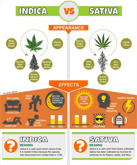 Types of Cannabis - What is Sativa, Indica and Hybrid? - Budhub Canada