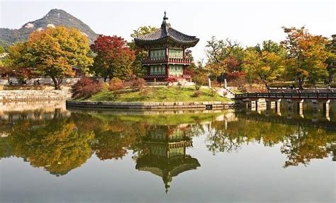 An Overview of Korean Culture and Traditions | OptiLingo