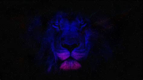 Space Lion 4K Wallpaper | 3840 x 2160 px