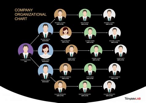 Indesign Organizational Chart Template Free