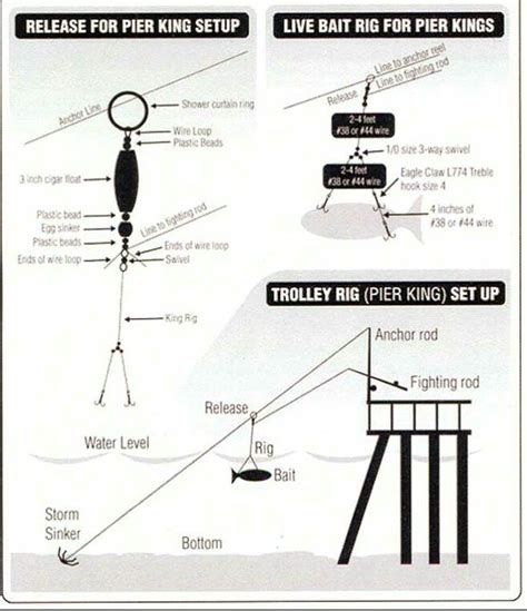 Pier Trolley Rig setup Fishing Pinterest Rigs | Fishing tips, Fishing ...