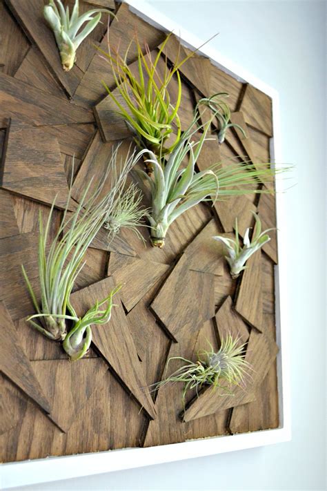 DIY Air Plant Wall Art from Scrap Wood • Ugly Duckling House