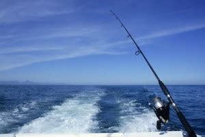 Saltwater Fishing Tips