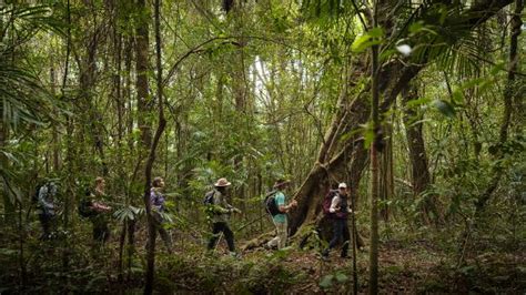 Spicers releases Scenic Rim summer hiking program - Beaudesert Times