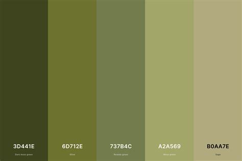 35+ Best Green Color Palettes with Names and Hex Codes – CreativeBooster