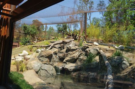 Jaguar Habitat - ZooChat