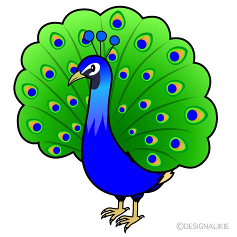 Peacock Clip Art Free PNG Image｜Illustoon