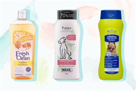 The 8 Best Dog Shampoos of 2022