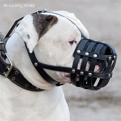 Leather Dog Muzzle Pattern