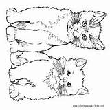 Cat Coloring Pages Tabby Cats Color Drawing Printable Dog Print Two Kids Animal Stamps Cute Kittens Children Digi Sheets Animals sketch template