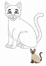 Siamese Coloring1 sketch template