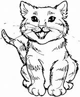 Coloring Cat Pages Tabby Cats Printable Kitty Realistic Halloween Wild Cartoon Color Black Scary Drawing Cute Print Town Real Colouring sketch template