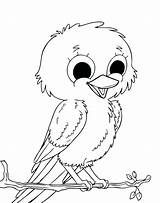 Bird Coloring Cute Pages Drawing Birds Kids Robin Baby Owl Black Colouring Canary Color American Easy Little Clipart Drawings Red sketch template