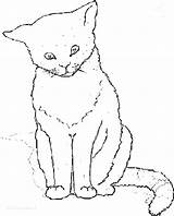 Coloring Cat Pages Realistic Tabby Cats Wild Real Color Animals Animated Printable Gifs Getcolorings Getdrawings Picgifs Yancy Gif Colorings Animal sketch template