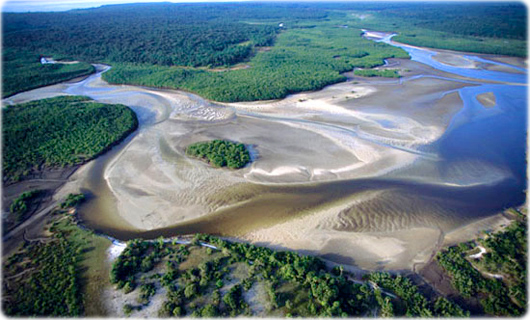 Santuario ecologico