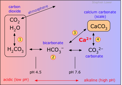 Hard water and scale formation