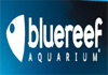 Blue Reef Aquarium